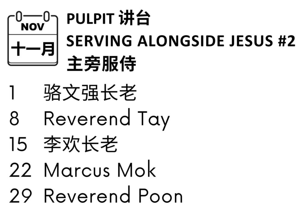 pulpit Nov 2026